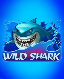 Wild Shark